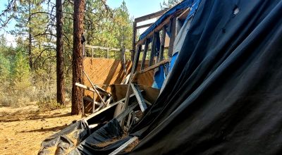 Huge trees. Wet weather stream in back * Fixer upper  or Tear it down and start over again