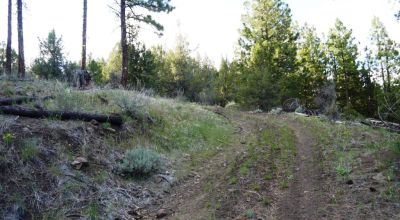10 acres on the Hill with trees - Easterly Views - 15 miles to Lakeview Oregon