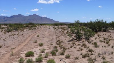 5 acres south of Deming New Mexico. Classic Desert land. Camp RV Build