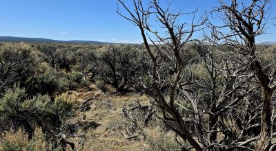 Wide Open spaces - Taos County New Mexico - Rv, camp, build, no restrictions ADJOINS TP4-1-J