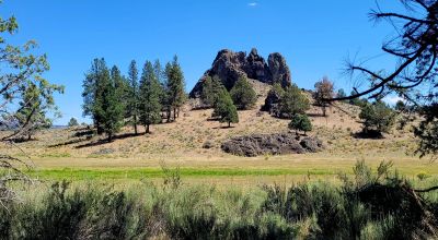 Heavily Treed - Power - Backs to Large Open Ranch