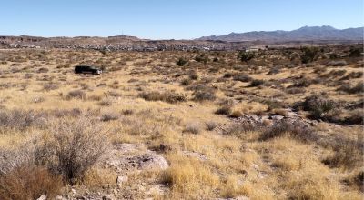 PURE CREATIVE POTENTIAL $95/Month!