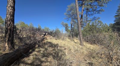 .5 Acres Water on Road, Power Nearby, Timberon NM