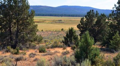 Sprague River at your Back door Valley Views - Paved Drews Road Frontage