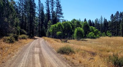Trees - Meadows - Small Stream - Aspens