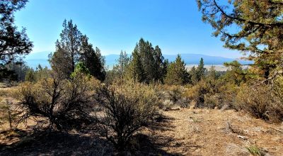 Sprague River Valley Views * Trees * Mobiles, modulars, site-builds ok