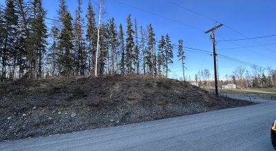 Residential Treed Parcel - Western Outskirts Wasilla Alaska - Backs to Open Space