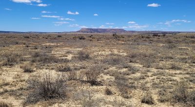 Hwy 509 Frontage - Power at road - Near Ambrosia Lake - Four 1-acre parcels available