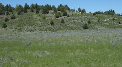 Oregon land * Sprague River Valley