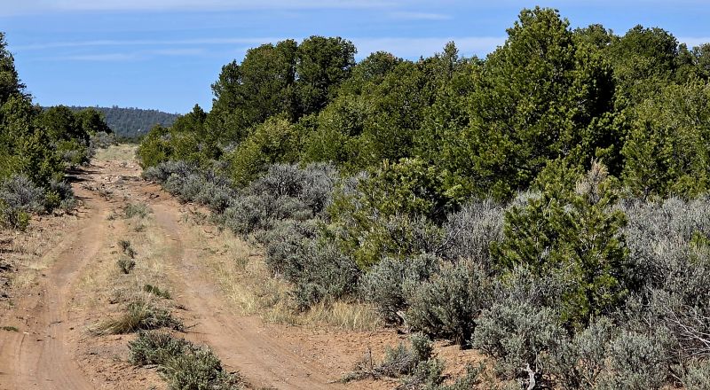1 Acre Taos Tres Piedras New Mexico - Camp RV Build No restrictions