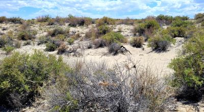 1 Full Section of  Nevada Desert & SAND HILLS  *  1 mile by 1 mile *