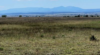 Bring Your Horses - Nearly Three Acres - Just East of Albuquerque - Large Acreage Properties