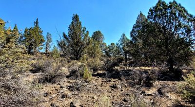 Sprague River Valley Views * Trees * Mobiles, modulars, site-builds ok
