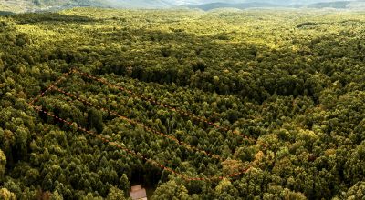 Beautifully Wooded 4 Acres in High Nob area, South of Big Cherry Reservoir