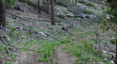 10 acres on the Hill with trees - Easterly Views - 15 miles to Lakeview Oregon