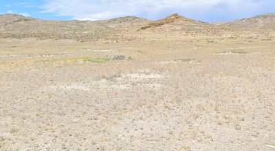 40 acres along the Historic Hastings Cutoff - Scenic Eastern Nevada land