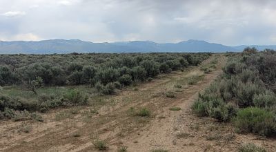 Taos County New Mexico Off Grid Living - Recreational Residential - 1/2 acre