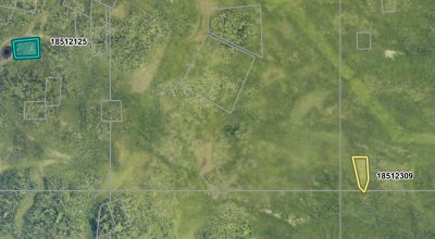 Pristine Alaskan Wilderness - Remote - Surrounded by Government lands