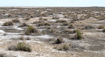 Classic Nevada Desert - Just off Hwy 95