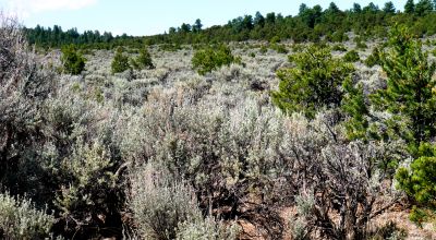 "R" Ranch Wild Horse Mesa  36.70 Acres - Excellent 2 road access