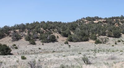 Rolling Hills Near mountains and Government lands Western New Mexico