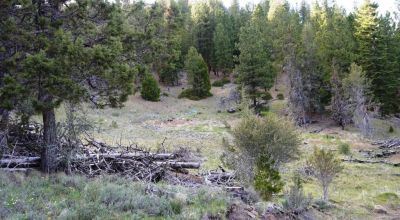 10 acres on the Hill with trees - Easterly Views - 15 miles to Lakeview Oregon