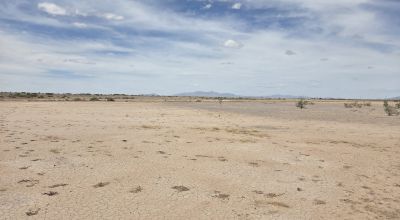 19.94 Acres South of Akela Flats, Deming NM