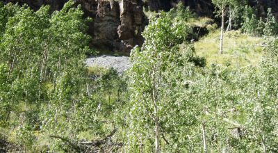 Scenic Pristine Colorado Mountain land - Henson Creek flows thru property
