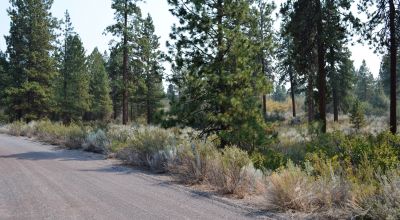 Treed Parcel eastern side of Agency Lake * Exclusive community
