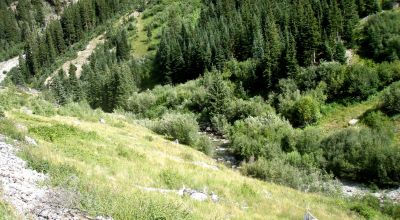 Scenic Pristine Colorado Mountain land - Henson Creek flows thru property
