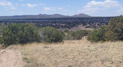 Surrounded by Santa Fe National Forest - Near Las Campanas and Golf Course - 8 Miles from Santa Fe