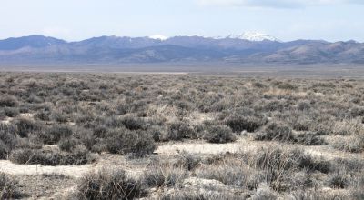 2 adjoining 80 acre parcels * Dolly Varden
