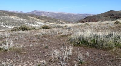 80 acres of Rolling Hills  only $49,000