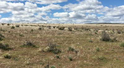 Nearly Ten Acres with Platted Road Access - Southeastern Oregon