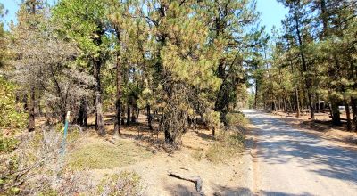 Spacious Treed Parcel - Southerly facing - 5+ acres