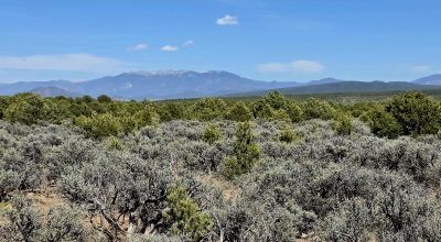 1/2 acre Taos New Mexico - Camp RV Build - Bring the Bus!!