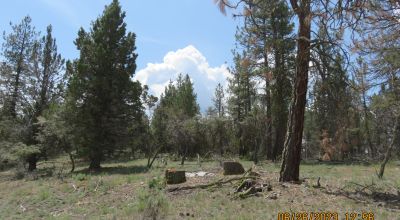 2 adjoining Lots almost 5 acres - Trees - Corner Lot - Camp RV Build