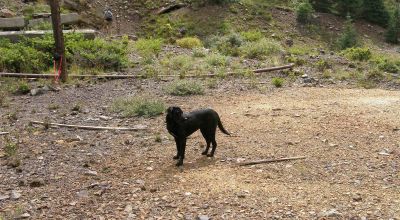 Historic Alpine Loop Southern Colorado - Animas River