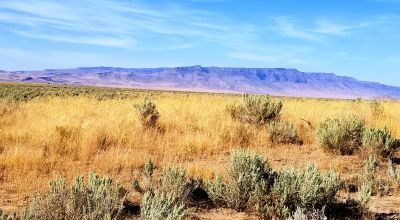 40 acres Bordering BLM lands on 1 side.  Remote Nevada High Desert Land