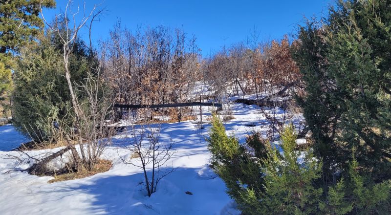 Sherwood Forest 1 acre near Torreon New Mexico - Base of the Manzano Mountains