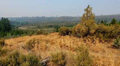 Private 481 acres - 3 sides Winema National Forest - Cooks Canyon - Pines Aspens Spruce Firs