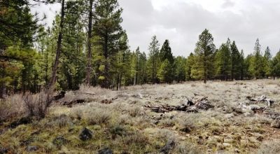9.72 acres North of Beatty Oregon - Camp - RV - Build - Borders BLM lands