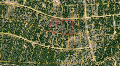 2 Adjoining Treed Lots - Privacy - Trees