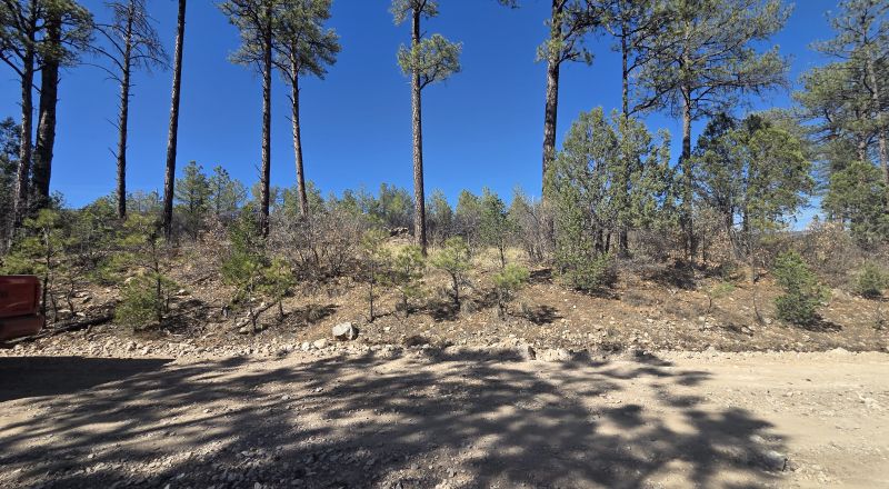 .5 Acres Water on Road, Power Nearby, Timberon NM