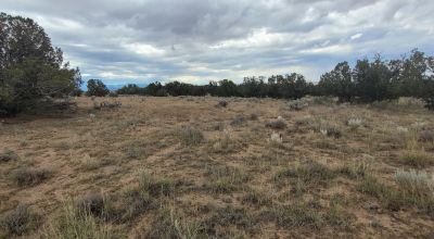30 acre Central New Mexico Property Windmill Ranch Excellent Roads. Power at Road