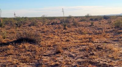 Classic New Mexico Desert - 10 acres Southern New Mexico
