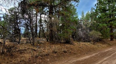 Level Building Lot Oregon - Camp - RV - Build