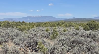Taos County - Tres Piedras New Mexico 1 acre CAMP, RV, BUILD