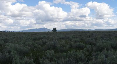 Scenic Oregon 160 acres wide open spaces