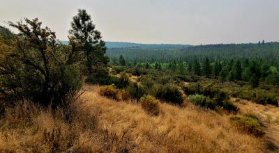 Private 481 acres - 3 sides Winema National Forest - Cooks Canyon - Pines Aspens Spruce Firs